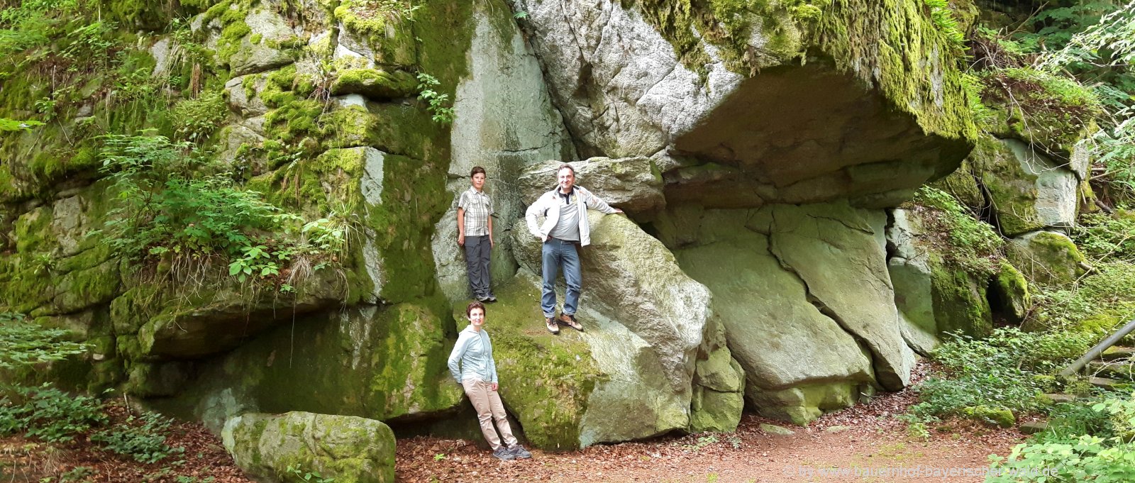 Wanderurlaub im Bayerischen Wald Wandern im Landkreis Cham