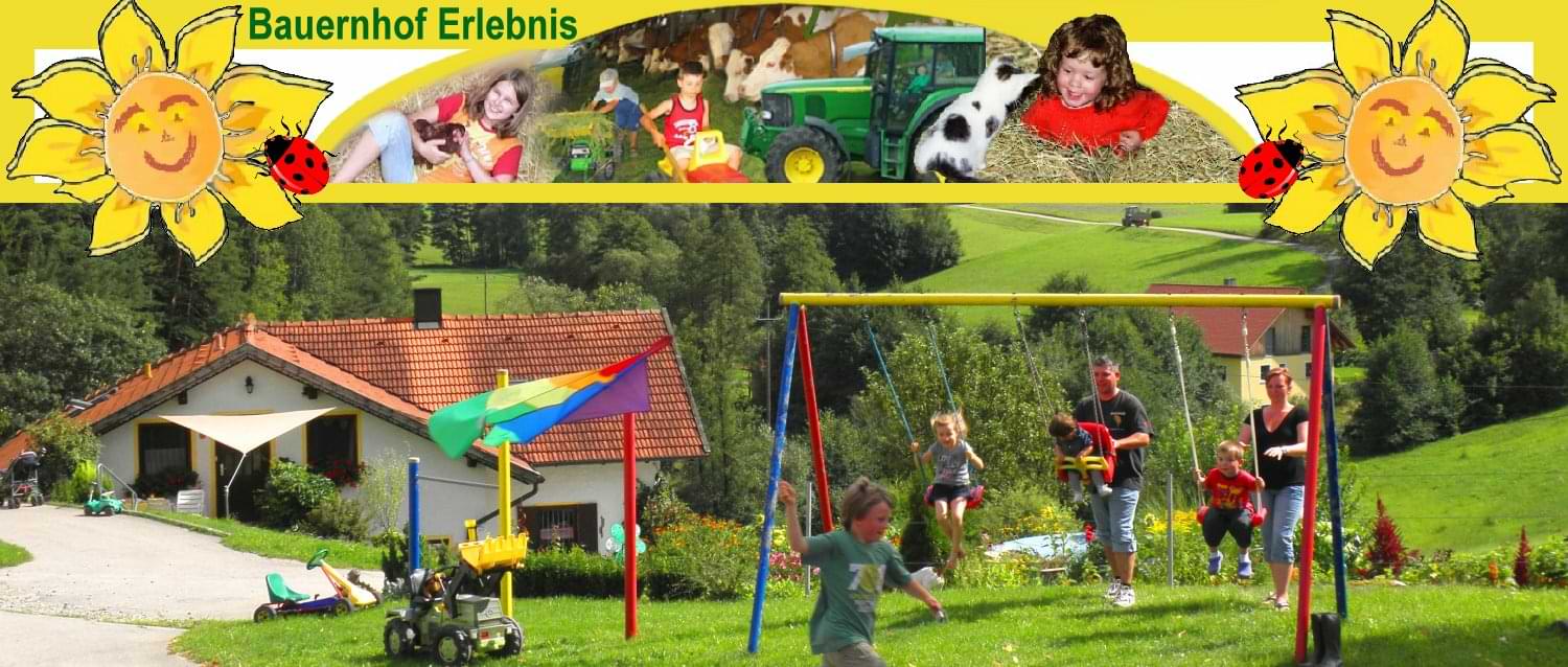 erlebnisbauernhof-bayerischer-wald-kinderspielplatz
