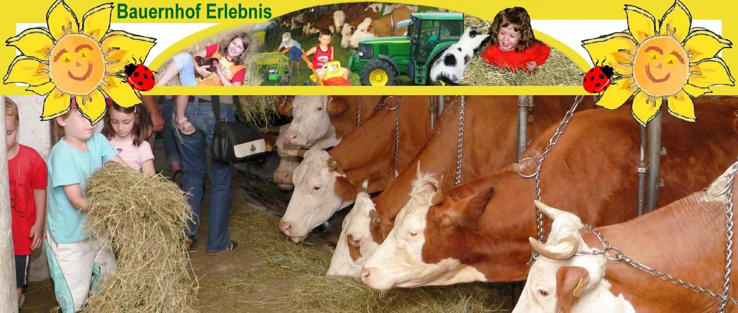 erlebnisbauernhof-bayerischer-wald-kuhstall-kühe-füttern