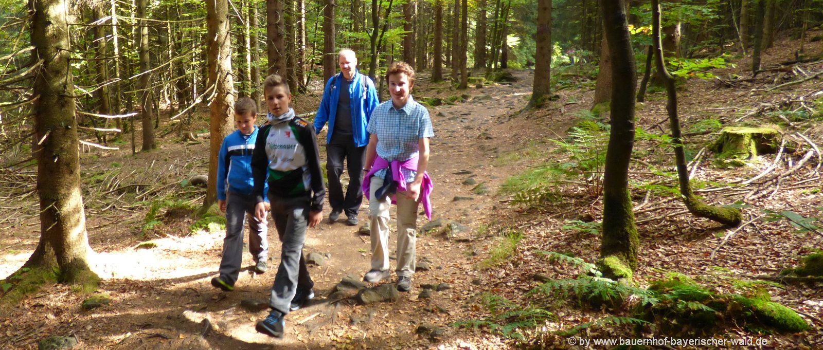 bauernhof-wanderurlaub-bayerischer-wald-wanderwege-ausflugsziele-panorama